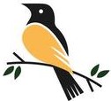 bird logo